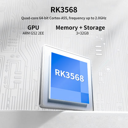 Anbernic RG DS 【Dual Screen】Handheld Game Console